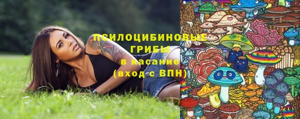 дживик Арсеньев
