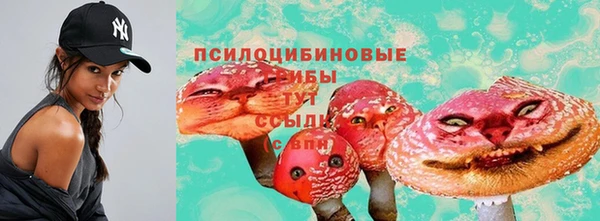 дживик Арсеньев