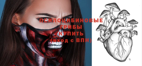 дживик Арсеньев