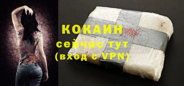 дживик Арсеньев