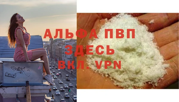 дживик Арсеньев