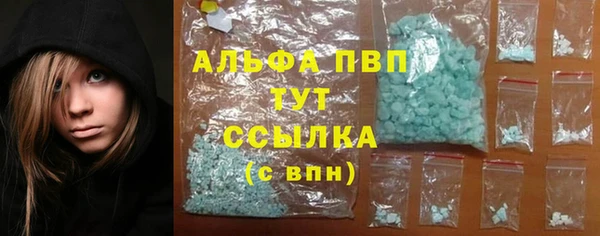 дживик Арсеньев