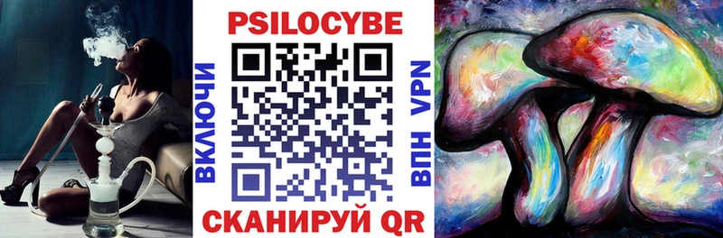 кракен сайт  Рошаль  Галлюциногенные грибы Psilocybine cubensis 
